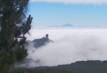 Mikroclimates in Gran Canaria